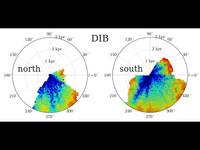 Maps of the dust and DIB absorption